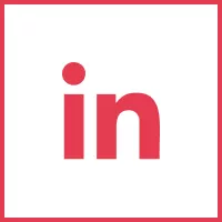 linkedin-custom